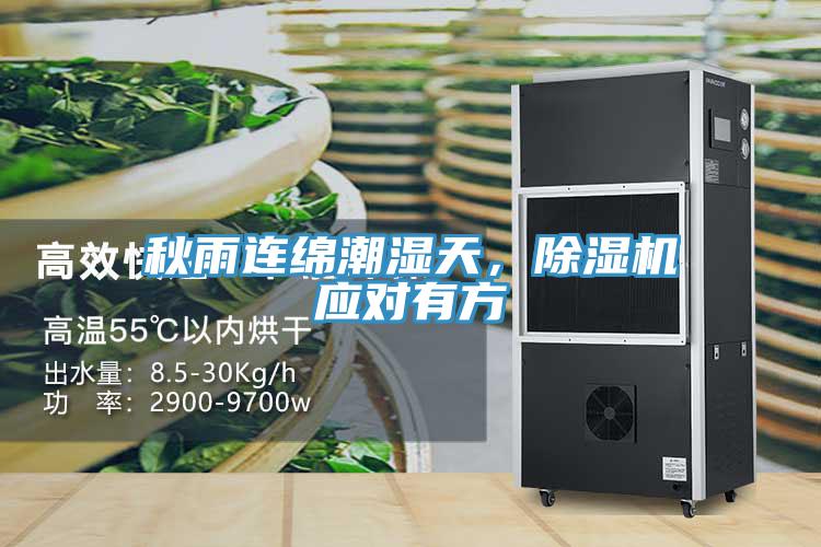秋雨連綿潮濕天，草莓污视频在线看應對有方