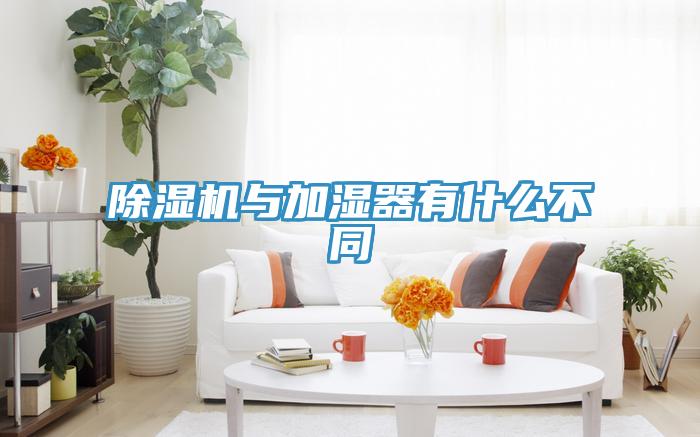 草莓污视频在线看與加濕器有什麽不同