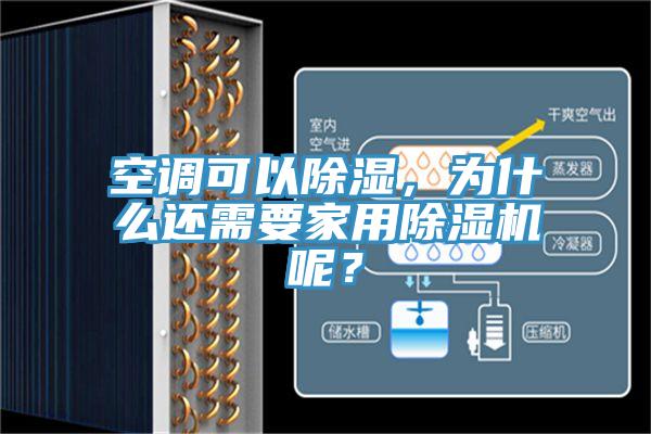 空調可以除濕，為什麽還需要家用草莓污视频在线看呢？