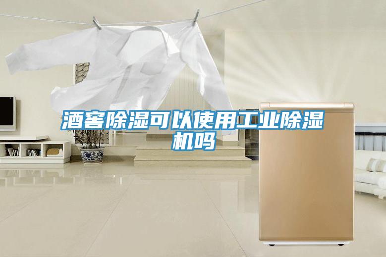酒窖除濕可以使用工業草莓污视频在线看嗎