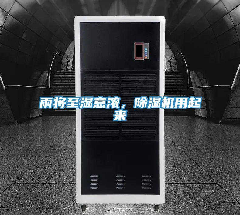 雨將至濕意濃，草莓污视频在线看用起來
