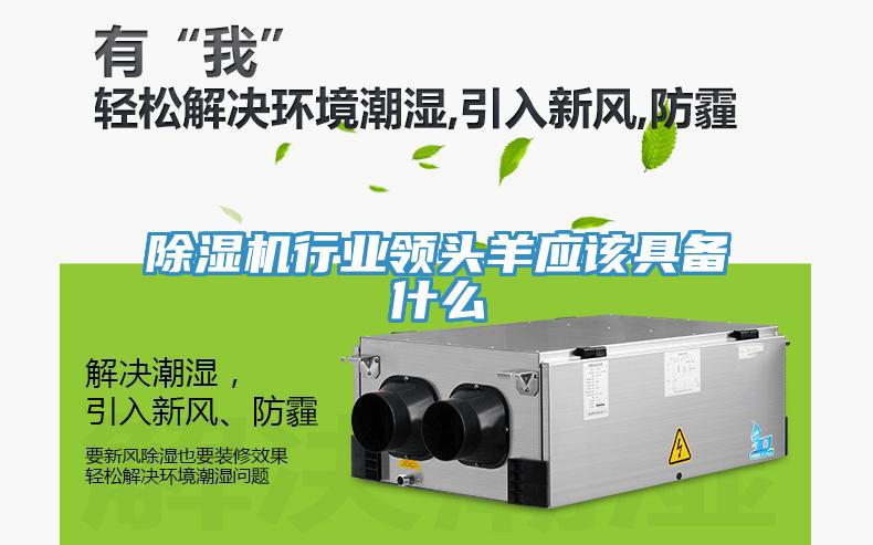 草莓污视频在线看行業領頭羊應該具備什麽