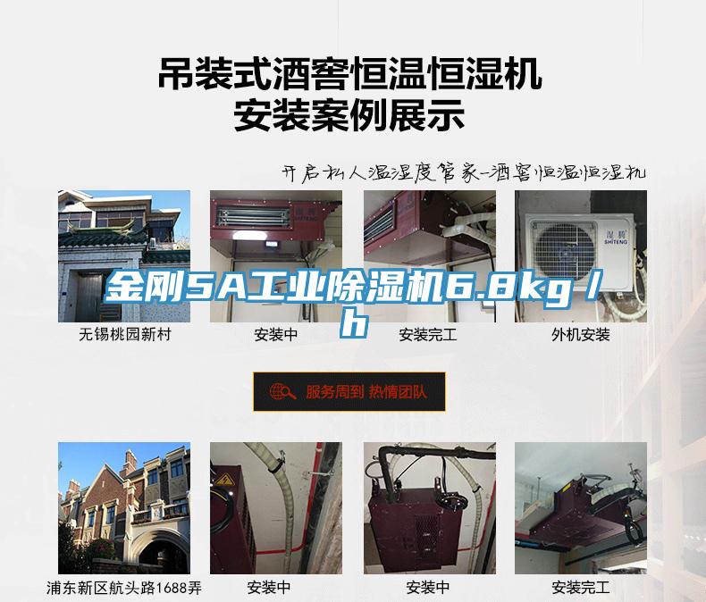 金剛5A工業草莓污视频在线看6.8kg／h
