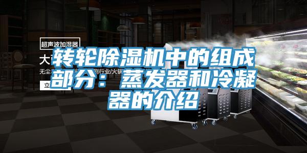 轉輪草莓污视频在线看中的組成部分：蒸發器和冷凝器的介紹