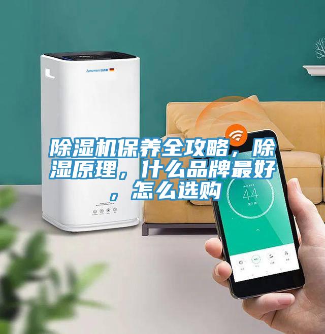 草莓污视频在线看保養全攻略，除濕原理，什麽品牌最好，怎麽選購