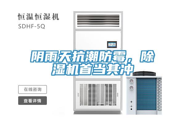 陰雨天抗潮防黴，草莓污视频在线看首當其衝