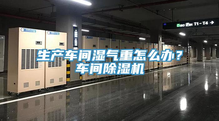 生產車間濕氣重怎麽辦？車間草莓污视频在线看