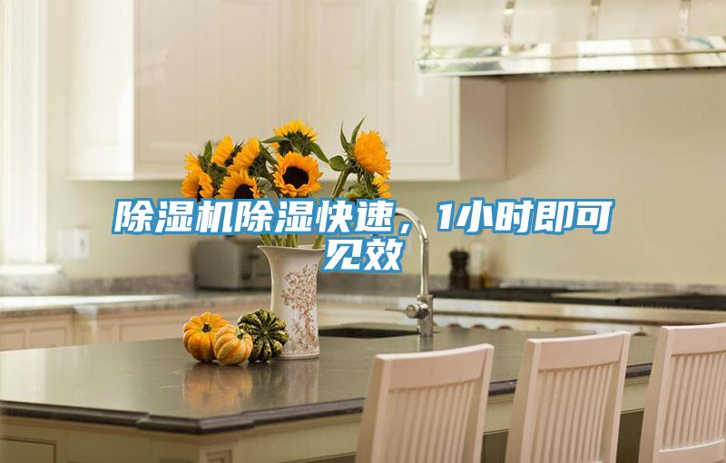 草莓污视频在线看除濕快速，1小時即可見效