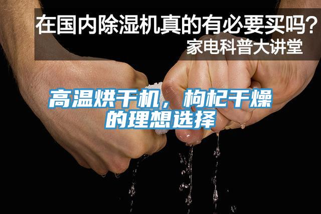 高溫烘幹機，枸杞幹燥的理想選擇
