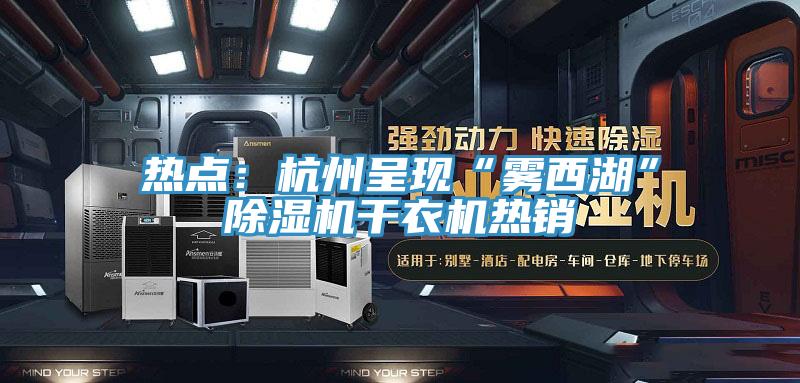 熱點：杭州呈現“霧西湖”草莓污视频在线看幹衣機熱銷