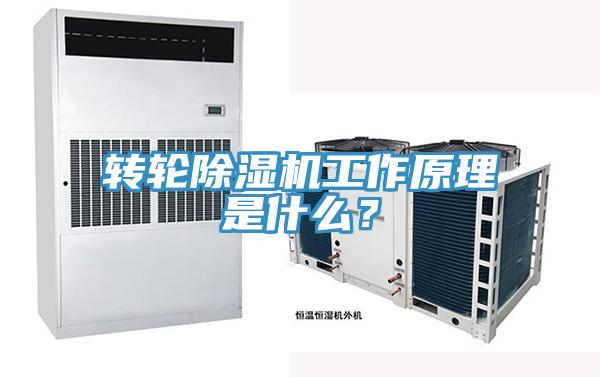 轉輪草莓污视频在线看工作原理是什麽？