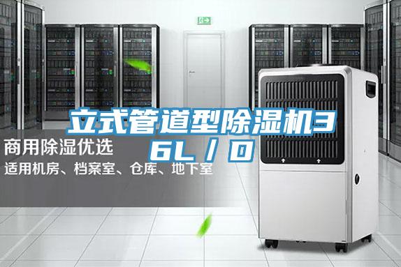 立式管道型草莓污视频在线看36L／D