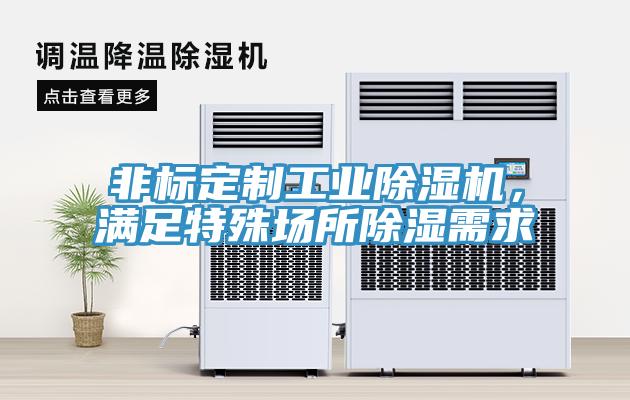 非標定製工業草莓污视频在线看，滿足特殊場所除濕需求