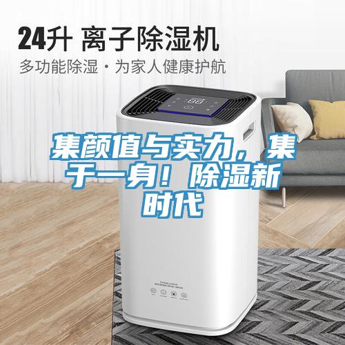 集顏值與實力，集於一身！除濕新時代