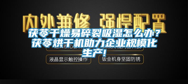 茯苓幹燥易碎裂吸濕怎麽辦？茯苓烘幹機助力企業規模化生產!