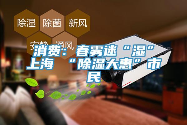 消費：春霧迷“濕”上海 “除濕大惠”市民