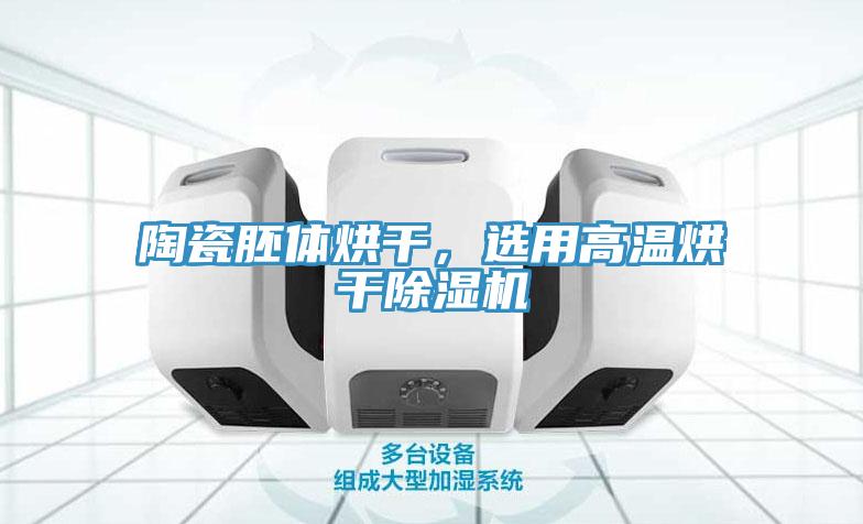 陶瓷胚體烘幹，選用高溫烘幹草莓污视频在线看