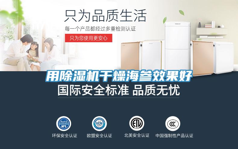 用草莓污视频在线看幹燥海參效果好