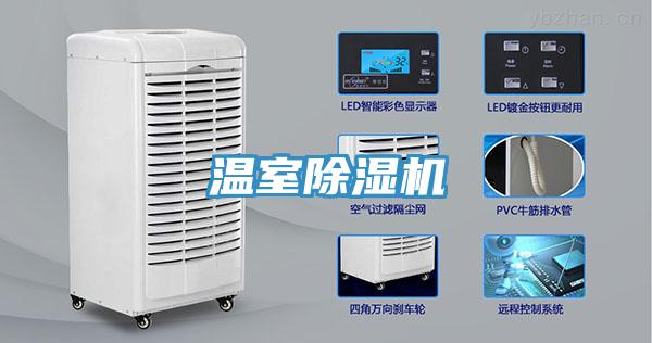 溫室草莓污视频在线看