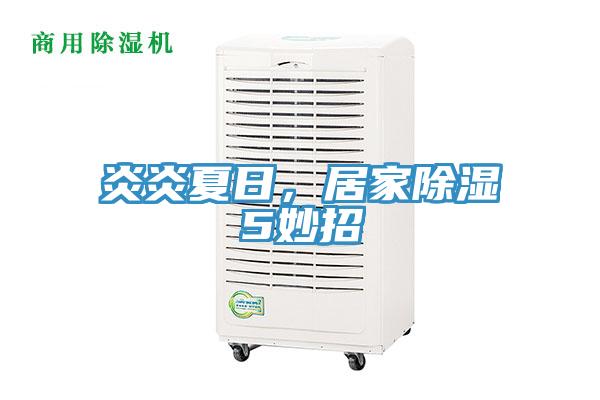 炎炎夏日，居家除濕5妙招