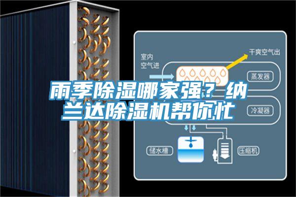 雨季除濕哪家強？納蘭達草莓污视频在线看幫你忙