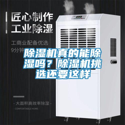 草莓污视频在线看真的能除濕嗎？草莓污视频在线看挑選還要這樣