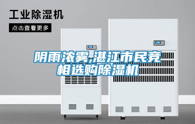 陰雨濃霧,湛江市民競相選購草莓污视频在线看