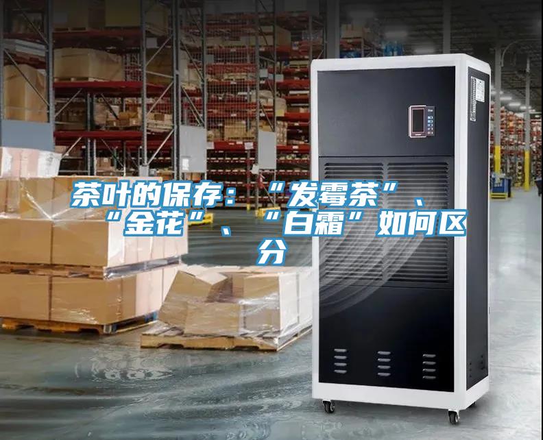 茶葉的保存：“發黴茶”、“金花”、“白霜”如何區分
