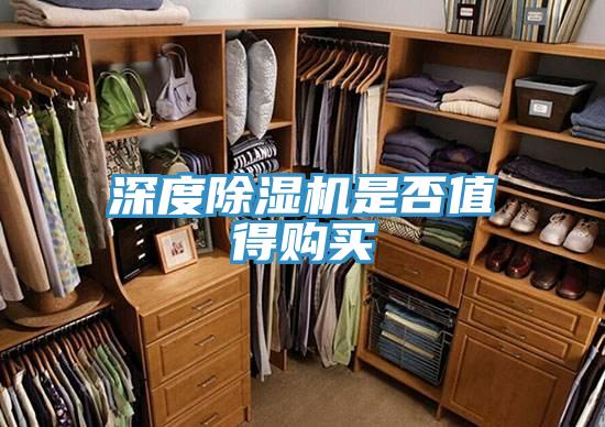 深度草莓污视频在线看是否值得購買
