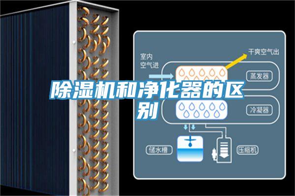 草莓污视频在线看和淨化器的區別
