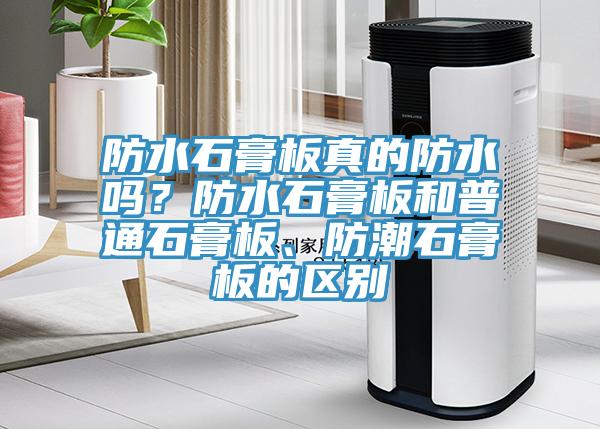 防水石膏板真的防水嗎？防水石膏板和普通石膏板、防潮石膏板的區別
