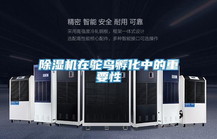 草莓污视频在线看在鴕鳥孵化中的重要性