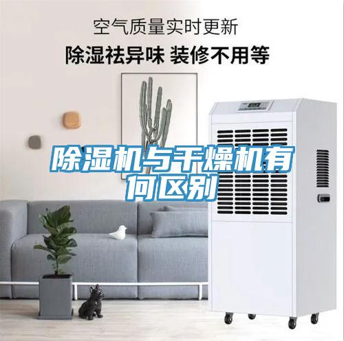 草莓污视频在线看與幹燥機有何區別