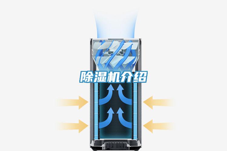 草莓污视频在线看介紹