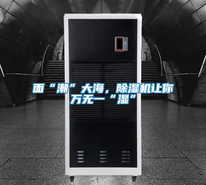 麵“潮”大海，草莓污视频在线看讓你萬無一“濕”