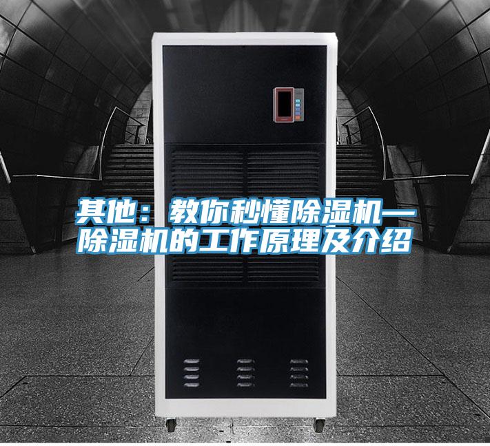 其他：教你秒懂草莓污视频在线看—草莓污视频在线看的工作原理及介紹