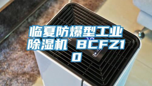 臨夏防爆型工業草莓污视频在线看 BCFZ10