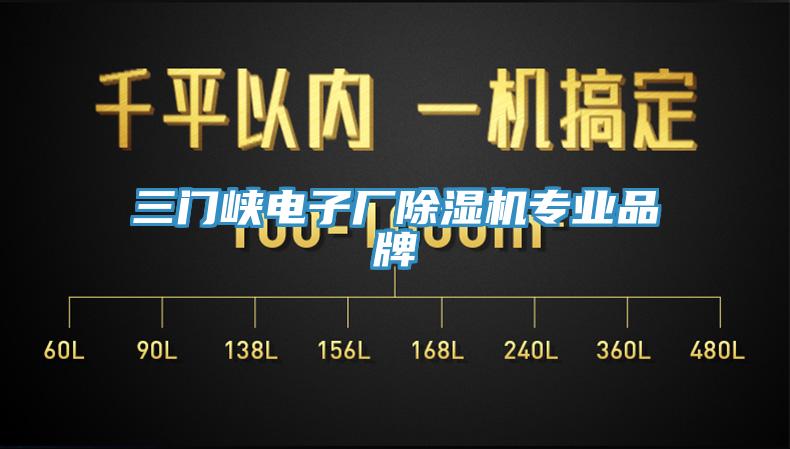 三門峽電子廠草莓污视频在线看專業品牌
