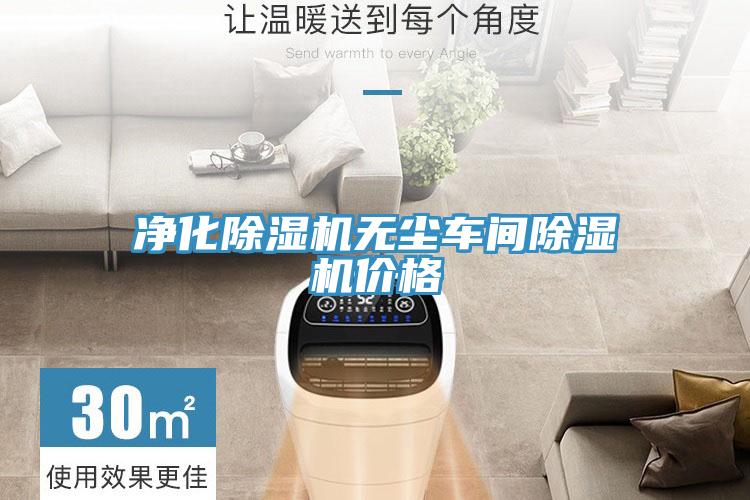 淨化草莓污视频在线看無塵車間草莓污视频在线看價格