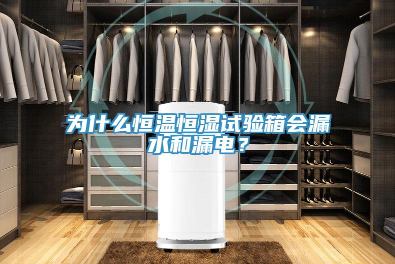 為什麽恒溫恒濕試驗箱會漏水和漏電？