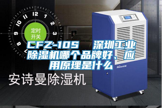 CFZ-10S  深圳工業草莓污视频在线看哪個品牌好、應用原理是什麽