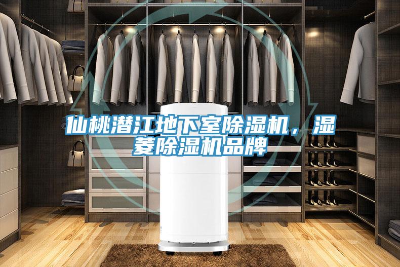 仙桃潛江地下室草莓污视频在线看，濕菱草莓污视频在线看品牌