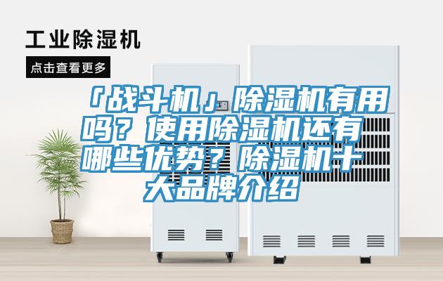 「戰鬥機」草莓污视频在线看有用嗎？使用草莓污视频在线看還有哪些優勢？草莓污视频在线看十大品牌介紹