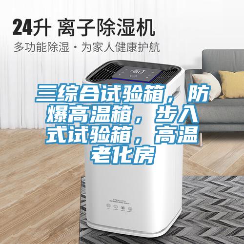 三綜合試驗箱，防爆高溫箱，步入式試驗箱，高溫老化房