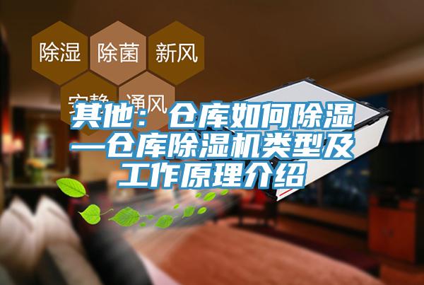 其他：倉庫如何除濕—倉庫草莓污视频在线看類型及工作原理介紹