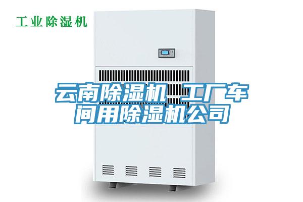 雲南草莓污视频在线看 工廠車間用草莓污视频在线看公司