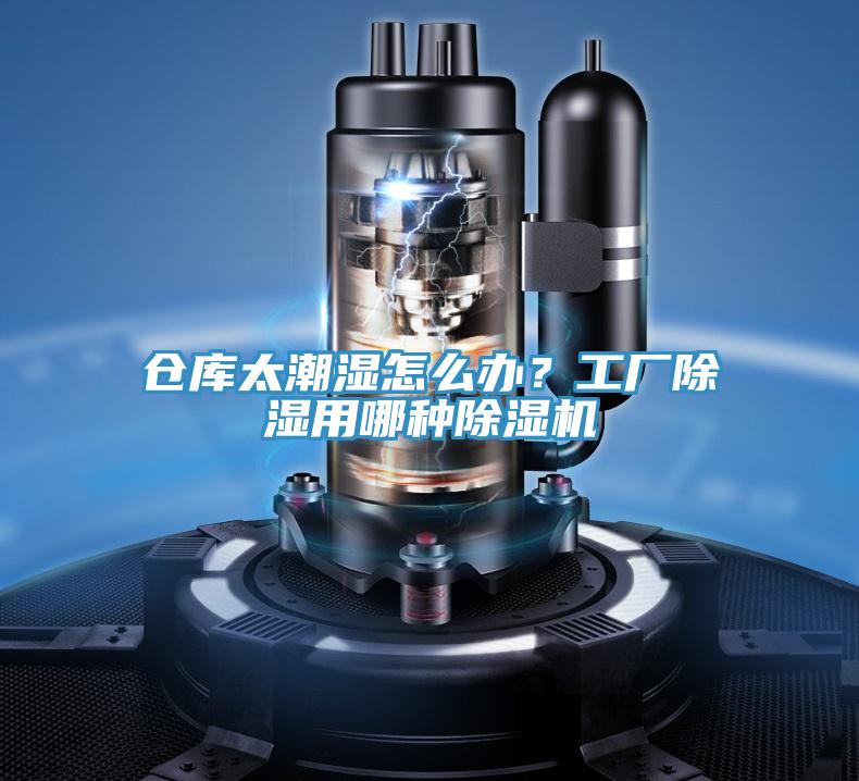 倉庫太潮濕怎麽辦？工廠除濕用哪種草莓污视频在线看