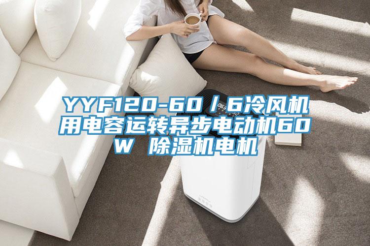 YYF120-60／6冷風機用電容運轉異步電動機60W 草莓污视频在线看電機
