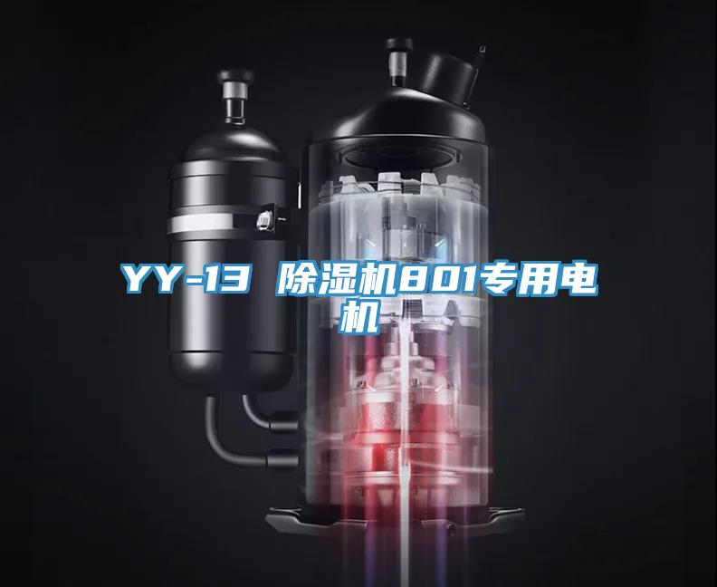 YY-13 草莓污视频在线看801專用電機