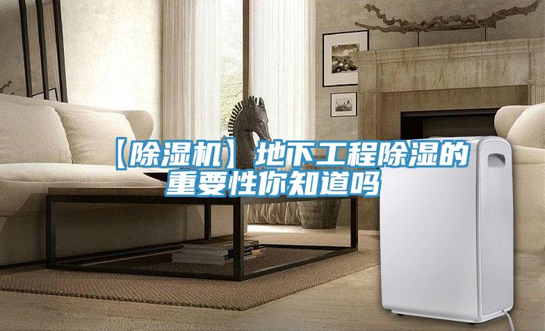 【草莓污视频在线看】地下工程除濕的重要性你知道嗎